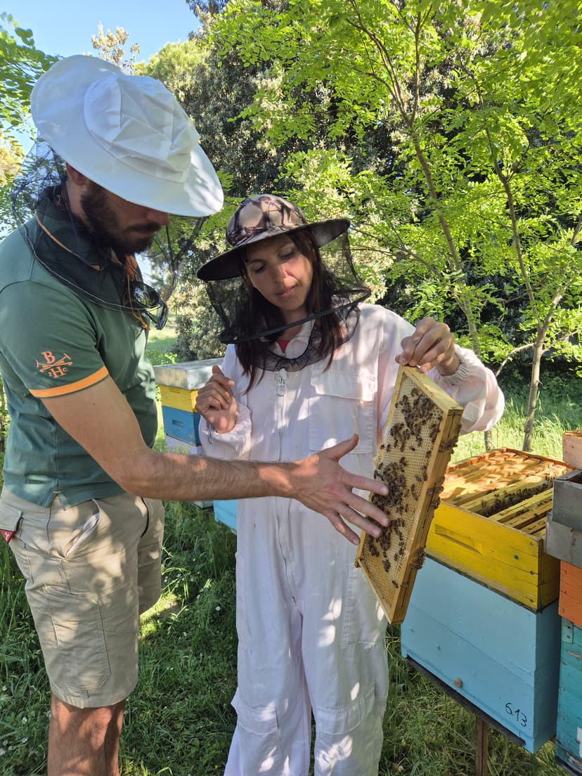Bee experience (visita condivisa) 